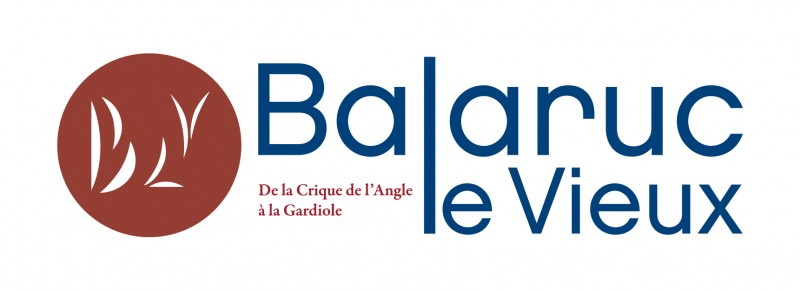 logo-blv-rvb