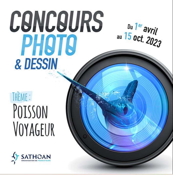 bathoCapture d’écran 2023-04-01 184604